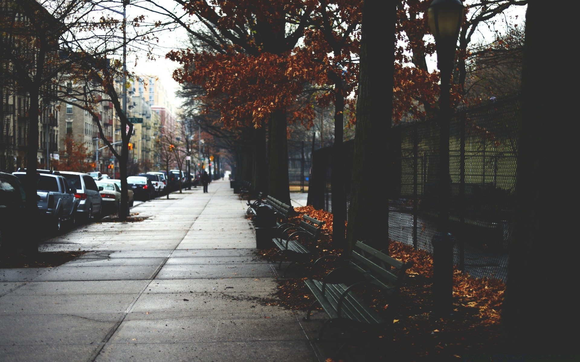 herbst straße straße stadt licht reisen urban herbst