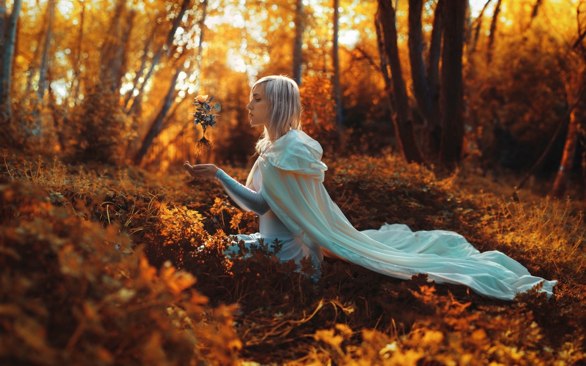 autumn fall wood outdoors leaf one nature tree fair weather park girl daylight adult backlit gold landscape leisure woman light sun