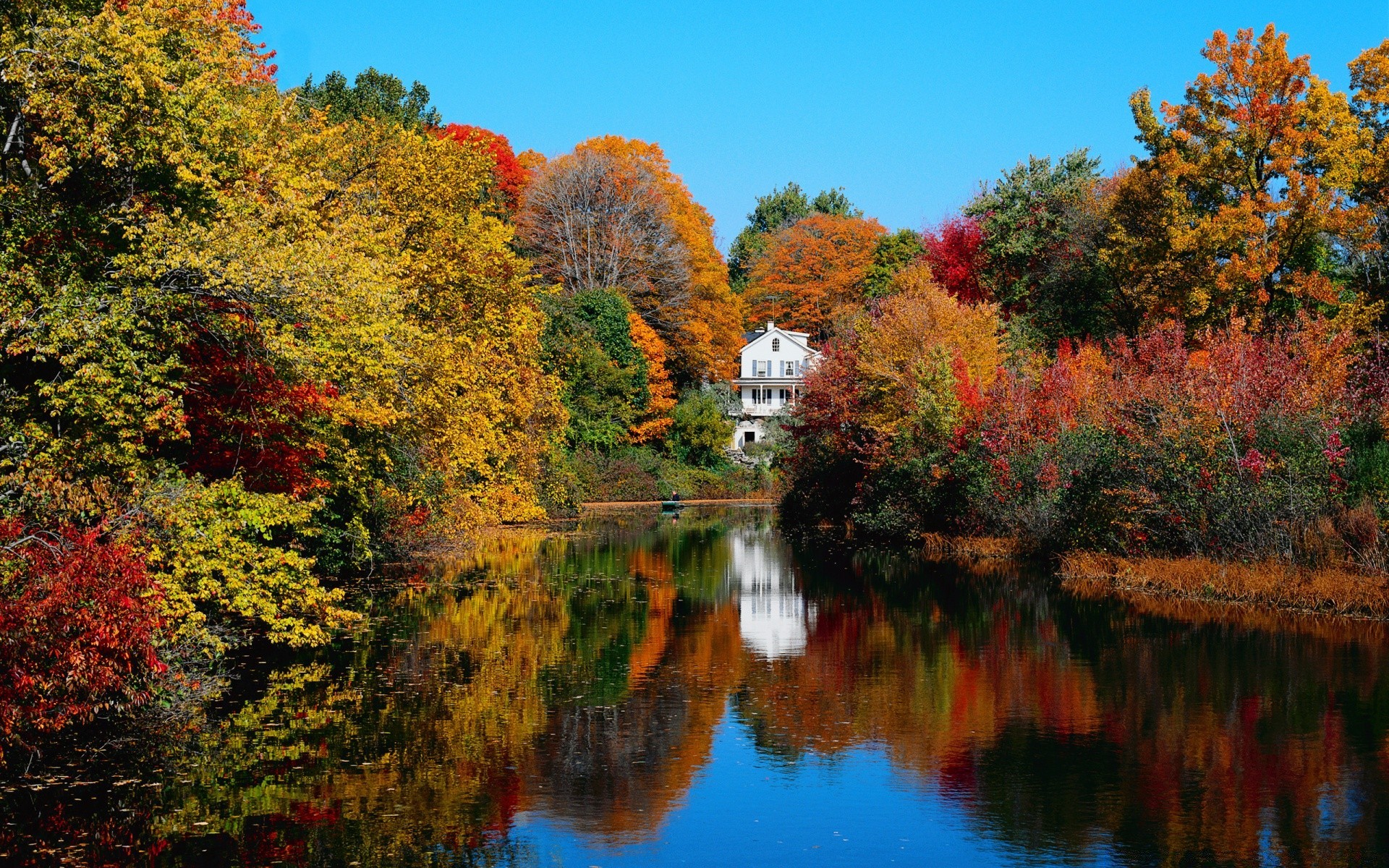 autumn fall tree leaf lake outdoors water nature landscape maple wood river park scenic season reflection