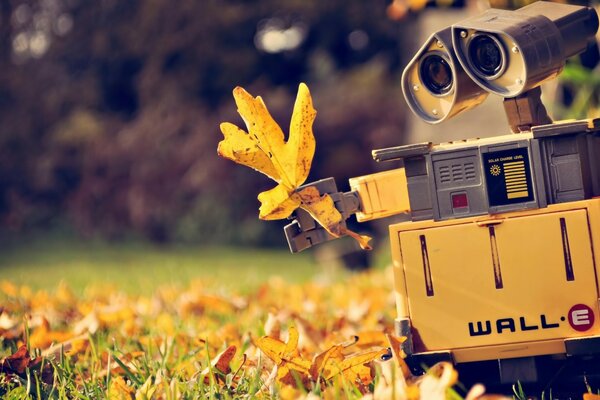 Robot WALL-E tiene in mano una foglia gialla