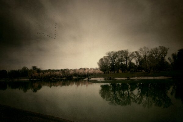 Paysage avec le reflet des arbres dans l eau