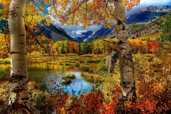 Paysage lumineux automne multicolore