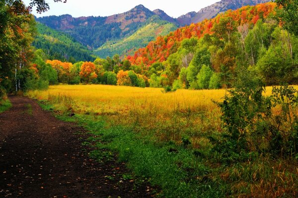 Bright autumn landscape of the foothills