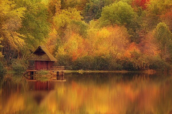 Golden autumn house on the river