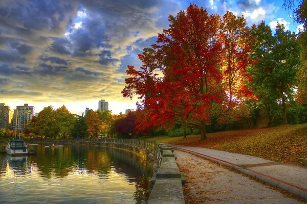 Árboles verdes, rojos, amarillos en el río