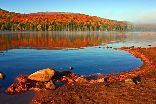 Superficie de agua en el fondo del bosque de otoño