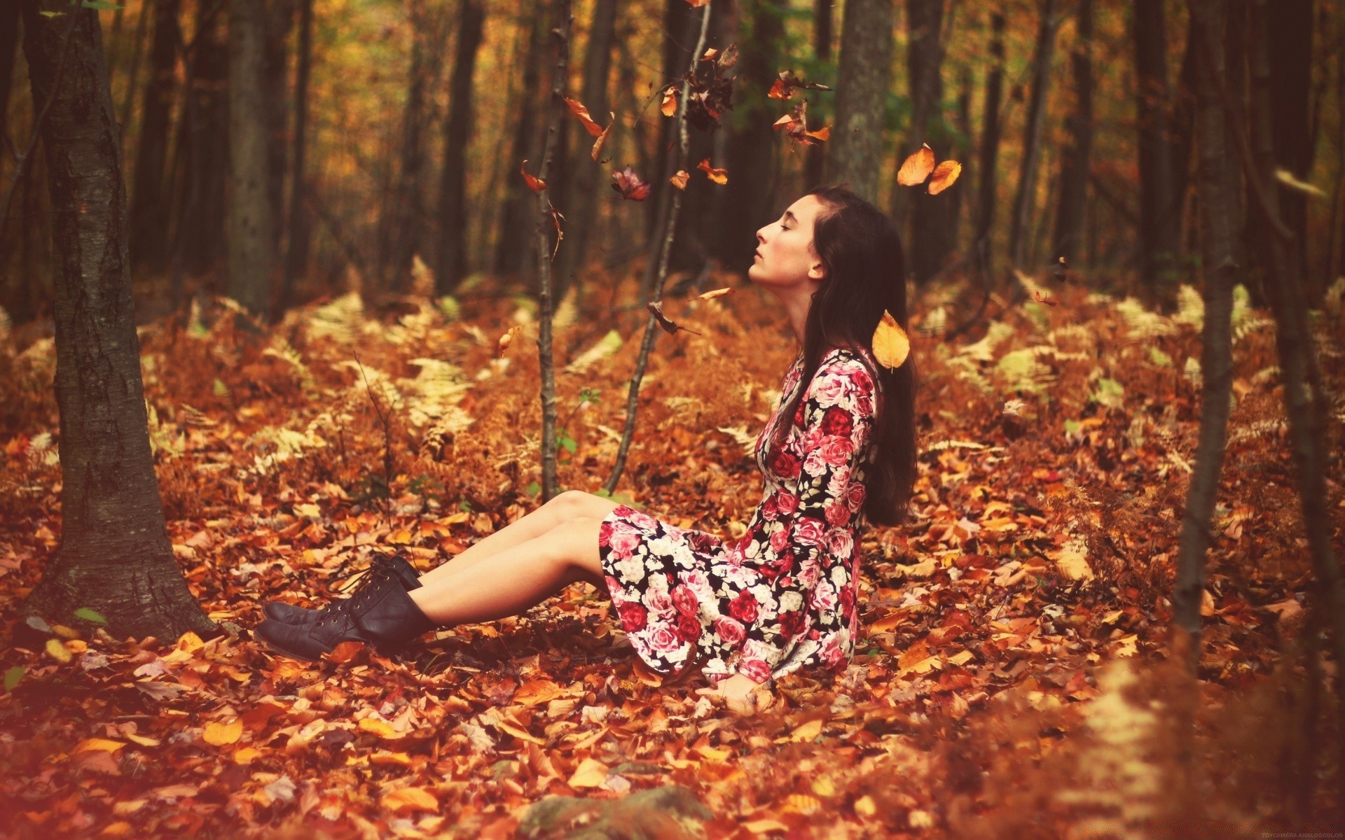 autumn wood fall leaf nature tree park one girl outdoors woman leisure season