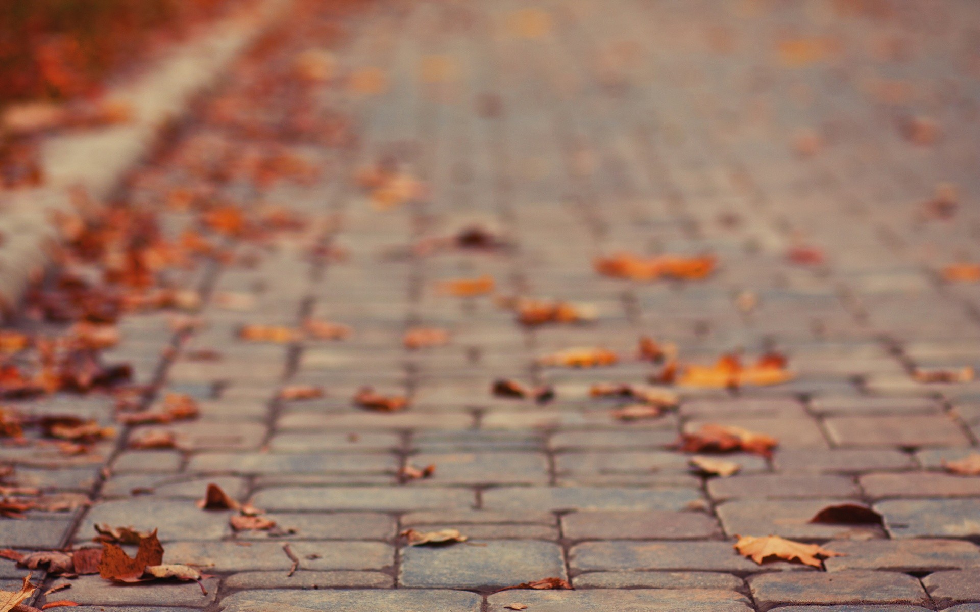 autumn desktop texture old abstract pattern pavement rough architecture expression urban fabric surface design stone street wall