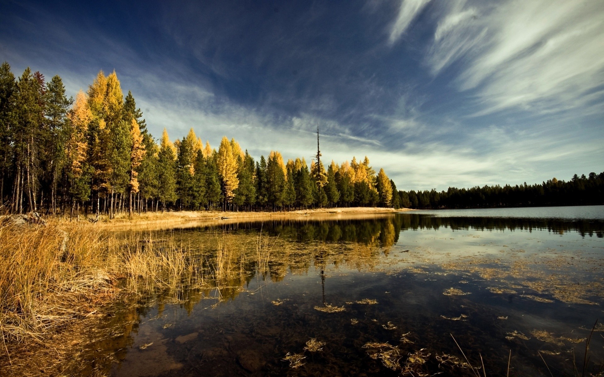 autumn lake landscape reflection water fall nature dawn tree wood river sky sunset outdoors scenic pool evening