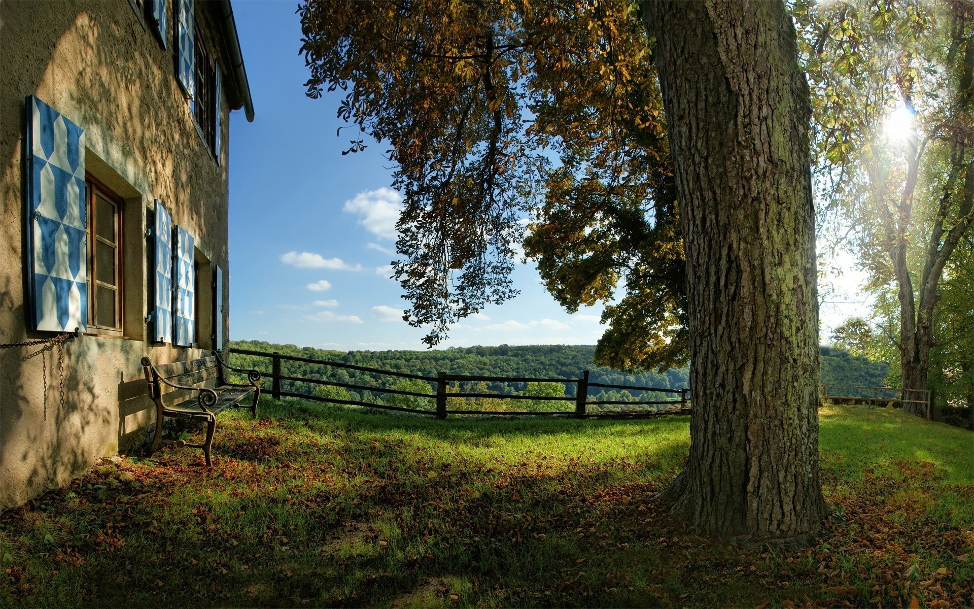 autunno albero legno all aperto paesaggio natura erba cielo luce del giorno viaggi estate autunno recinzione