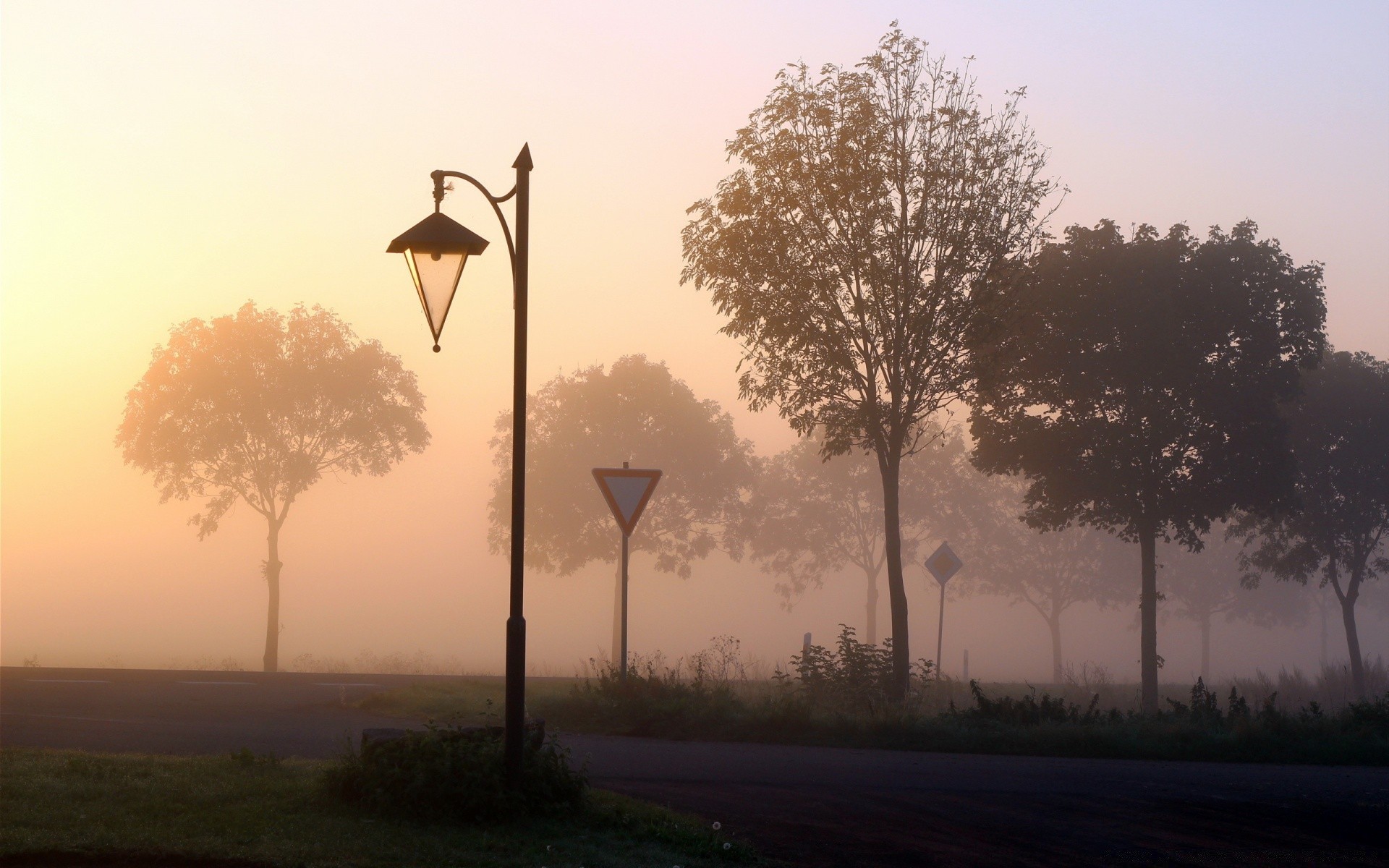 herbst baum morgendämmerung sonnenuntergang nebel himmel im freien landschaft nebel silhouette natur sonne abend