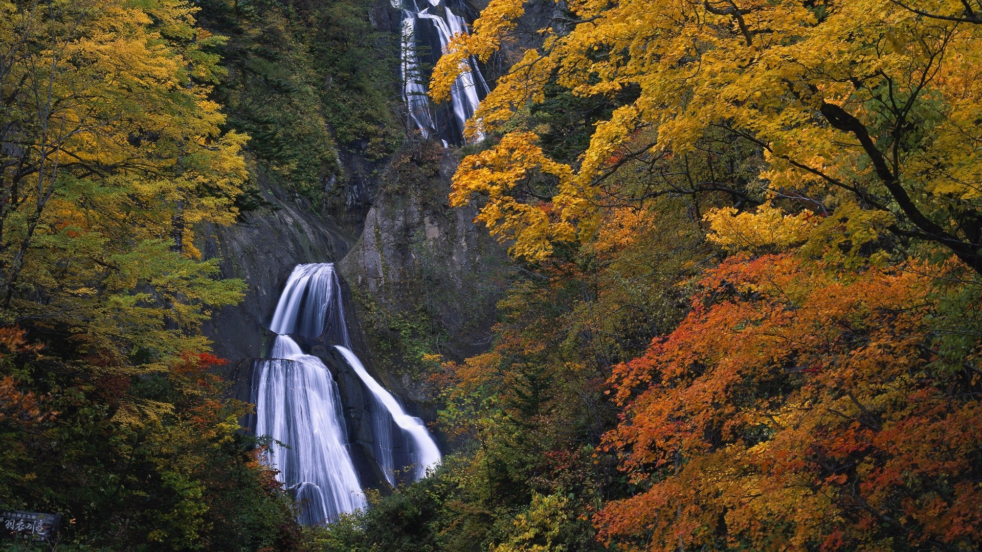 autunno autunno foglia di legno all aperto albero di paesaggio maple natura scenic viaggi luce del giorno parco di montagna