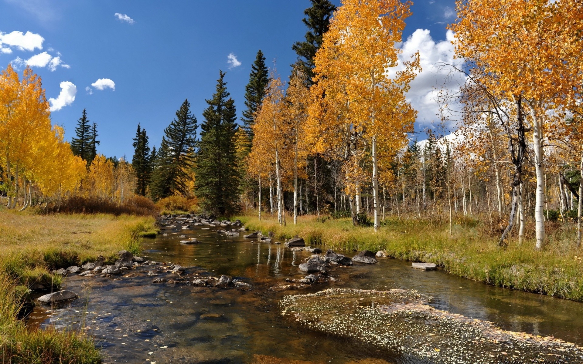 autumn fall wood nature leaf tree landscape outdoors lake scenic water park wild season environment scenery daylight river fair weather