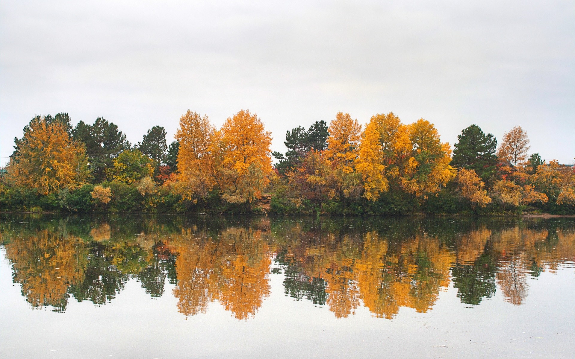 autumn tree fall lake landscape nature leaf wood reflection outdoors scenic water season river sky daylight pool color park flora