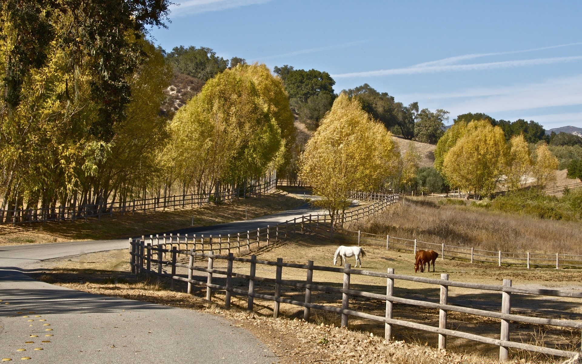 otoño naturaleza árbol cerca paisaje hierba al aire libre cielo rural madera granja viajes verano campo agricultura otoño país flora escénico agua