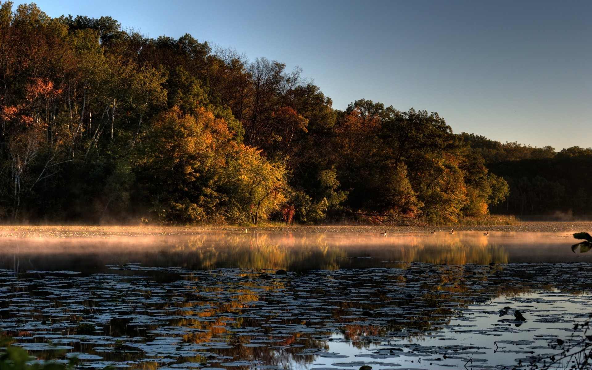 herbst wasser landschaft baum herbst natur dämmerung see sonnenuntergang fluss im freien reflexion holz himmel abend