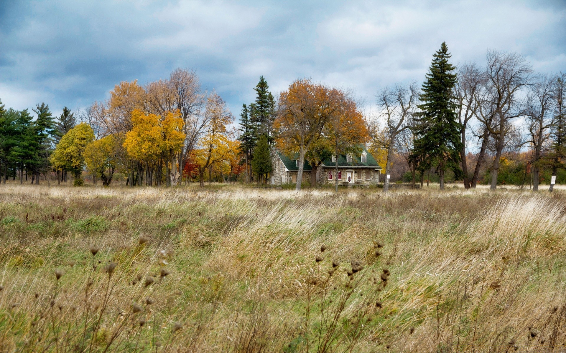 autumn landscape tree nature fall wood grass outdoors environment road countryside rural scenic field season park leaf country sky hayfield