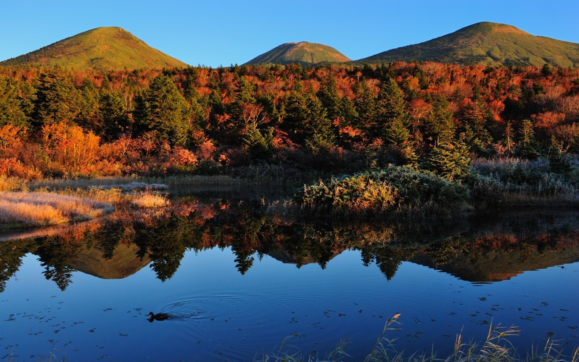 autunno all aperto acqua paesaggio viaggi autunno lago natura scenico tramonto sera cielo luce del giorno alba montagna riflessione albero