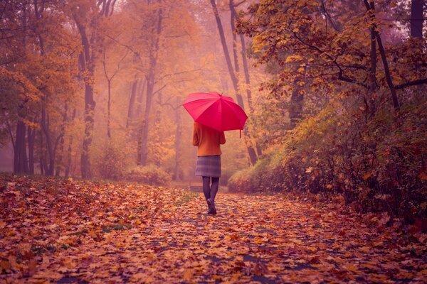 Fogliame autunnale ragazza con ombrello