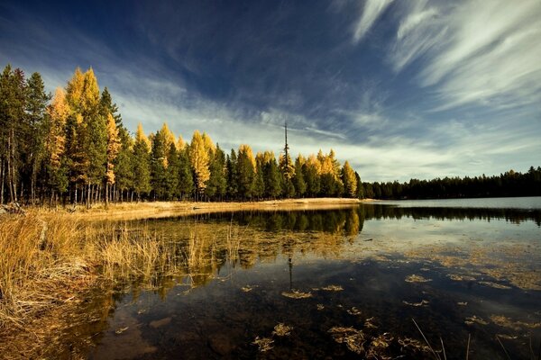 Reflection of water in the lake in autumn