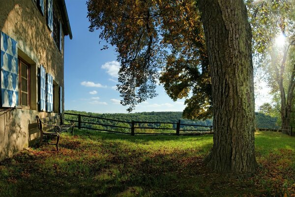 Lodge. Autumn. Tree. Landscape