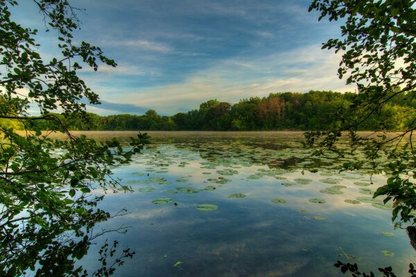 Natural pond in summer with poor lighting