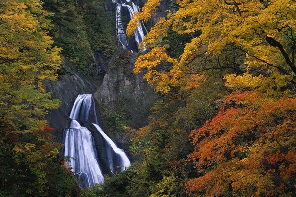 Autumn; outdoors the landscape stretches. The smell of wood fills the nostrils with tart waves; the waterfall flows down in long streams... Autumn