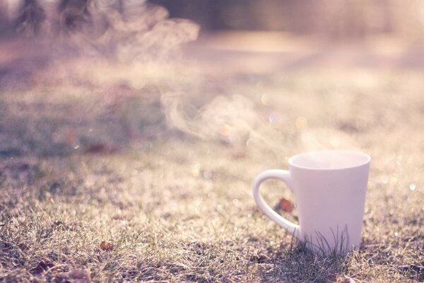 Cosa c è di meglio come bere caffè all aperto al mattino presto