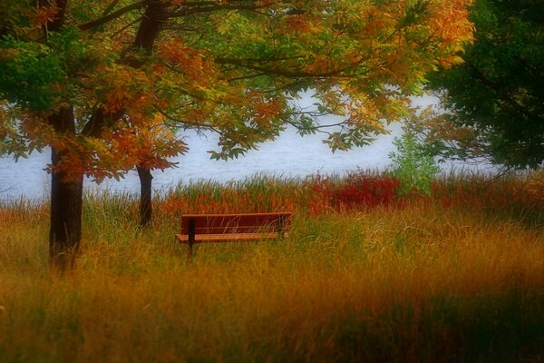 Herbstliche Landschaft. Der Baum. Die Natur