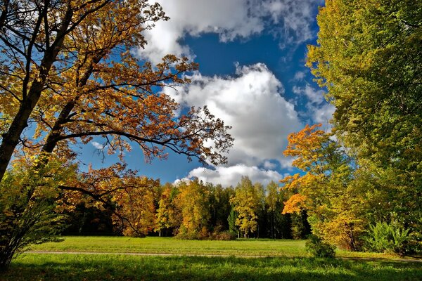 Paisaje de otoño con varias nubes en el cielo