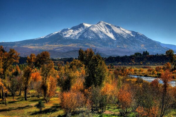 Árboles de otoño y montañas. Paisaje