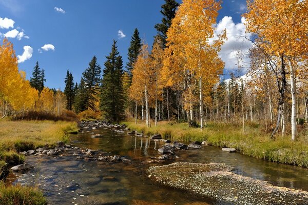 Paisaje de otoño junto al río