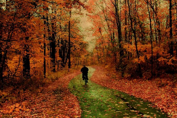 Autumn; a man rides a bicycle, an autumn leaf sprinkled the road