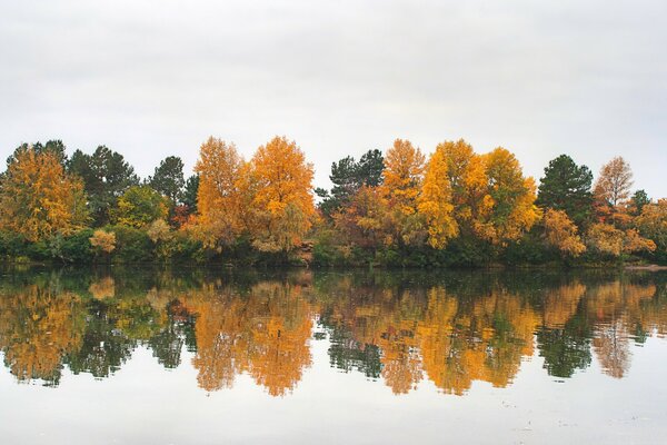 Autumn forest landscape on the lake shore