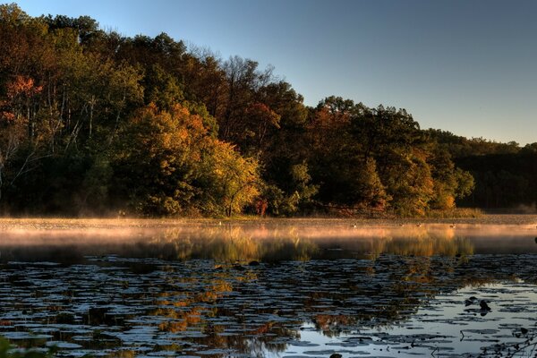 Paysage avec l image de la nature automnale