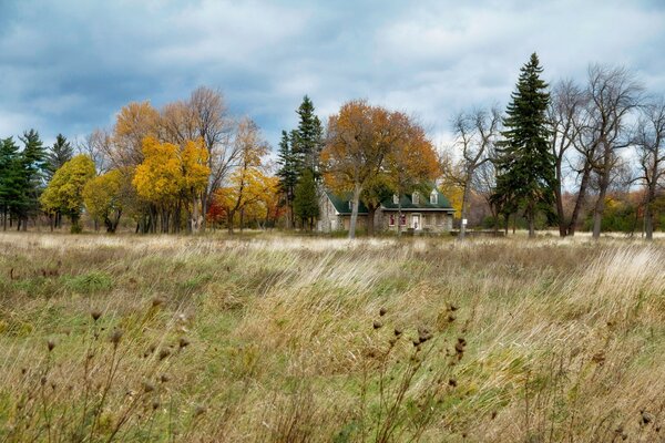 Landschaft der Natur bei windigem Herbstwetter