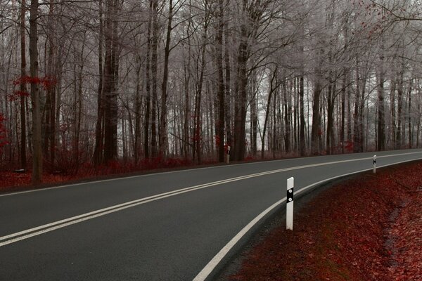 Gray road maroon grass