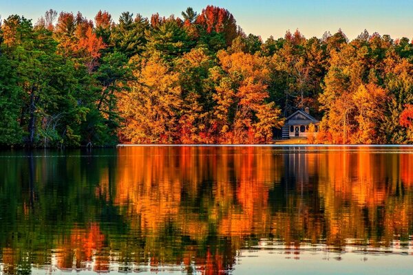 Naturaleza otoñal, los árboles están pintados con colores brillantes, un lago en su fondo