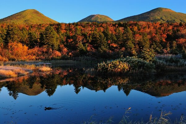 Herbstlandschaft am Wasser. Die Natur