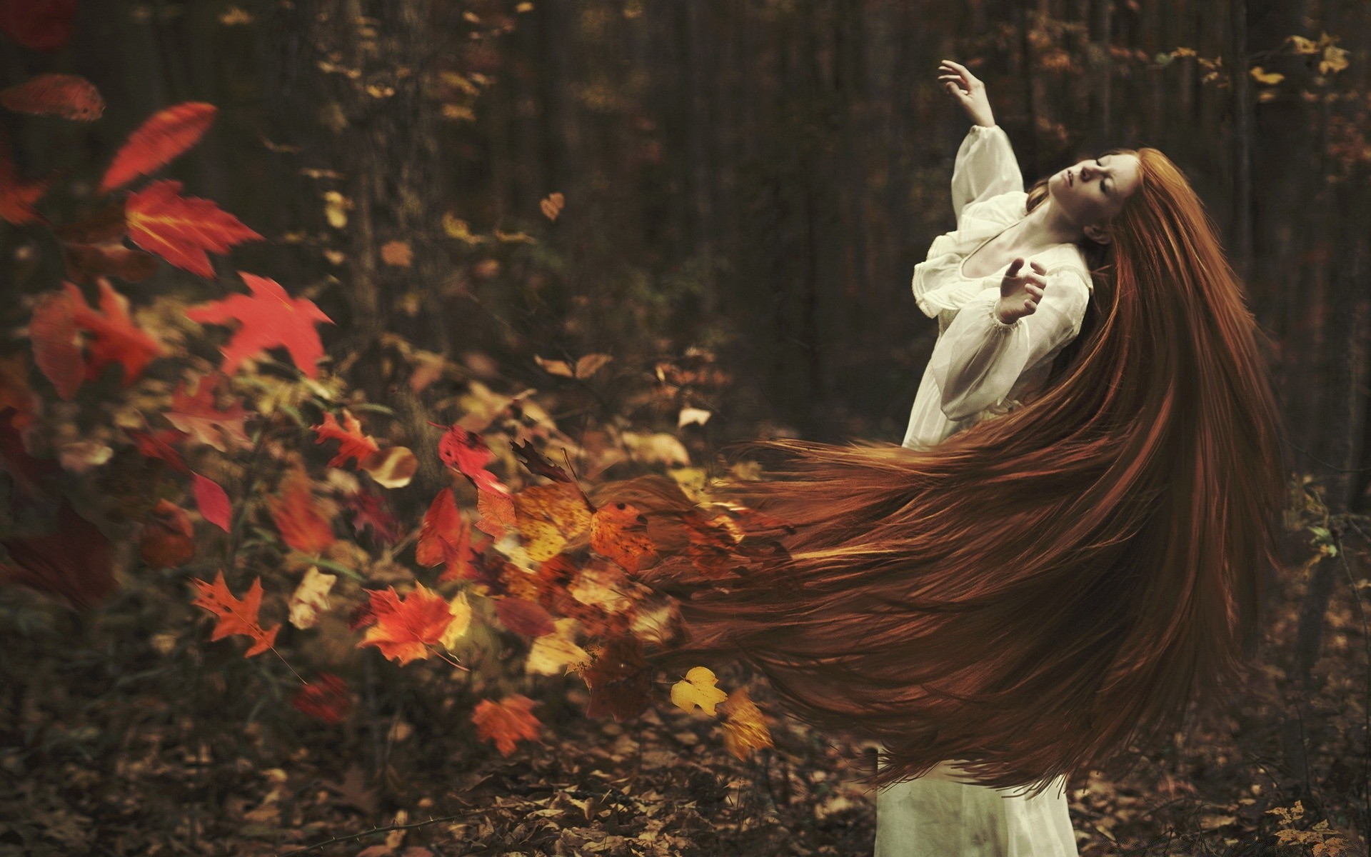 herbst blatt herbst einzelne natur im freien holz holz farbe