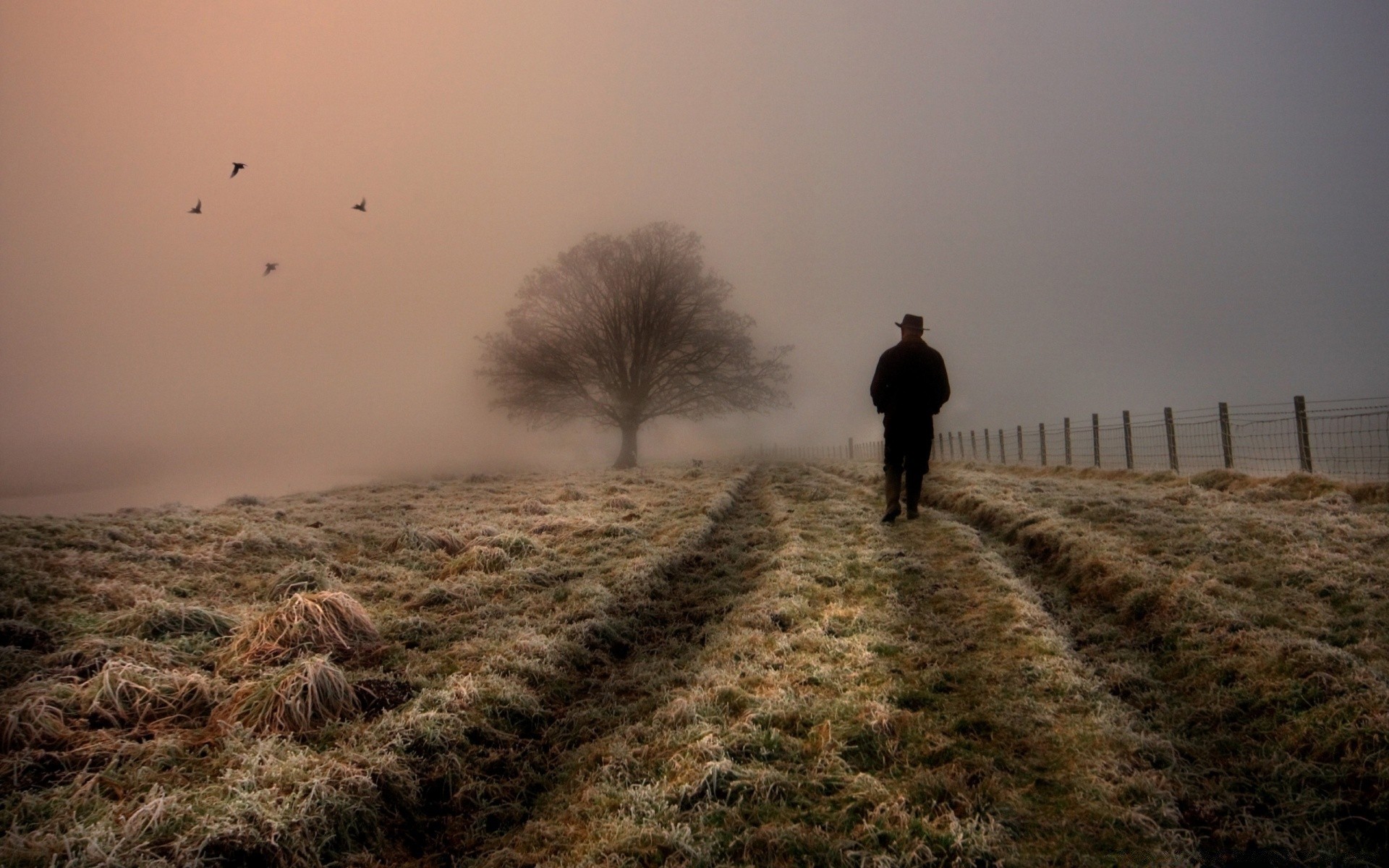 autumn sunset fog dawn landscape mist outdoors sky evening winter sun backlit dusk daylight nature weather fair weather travel