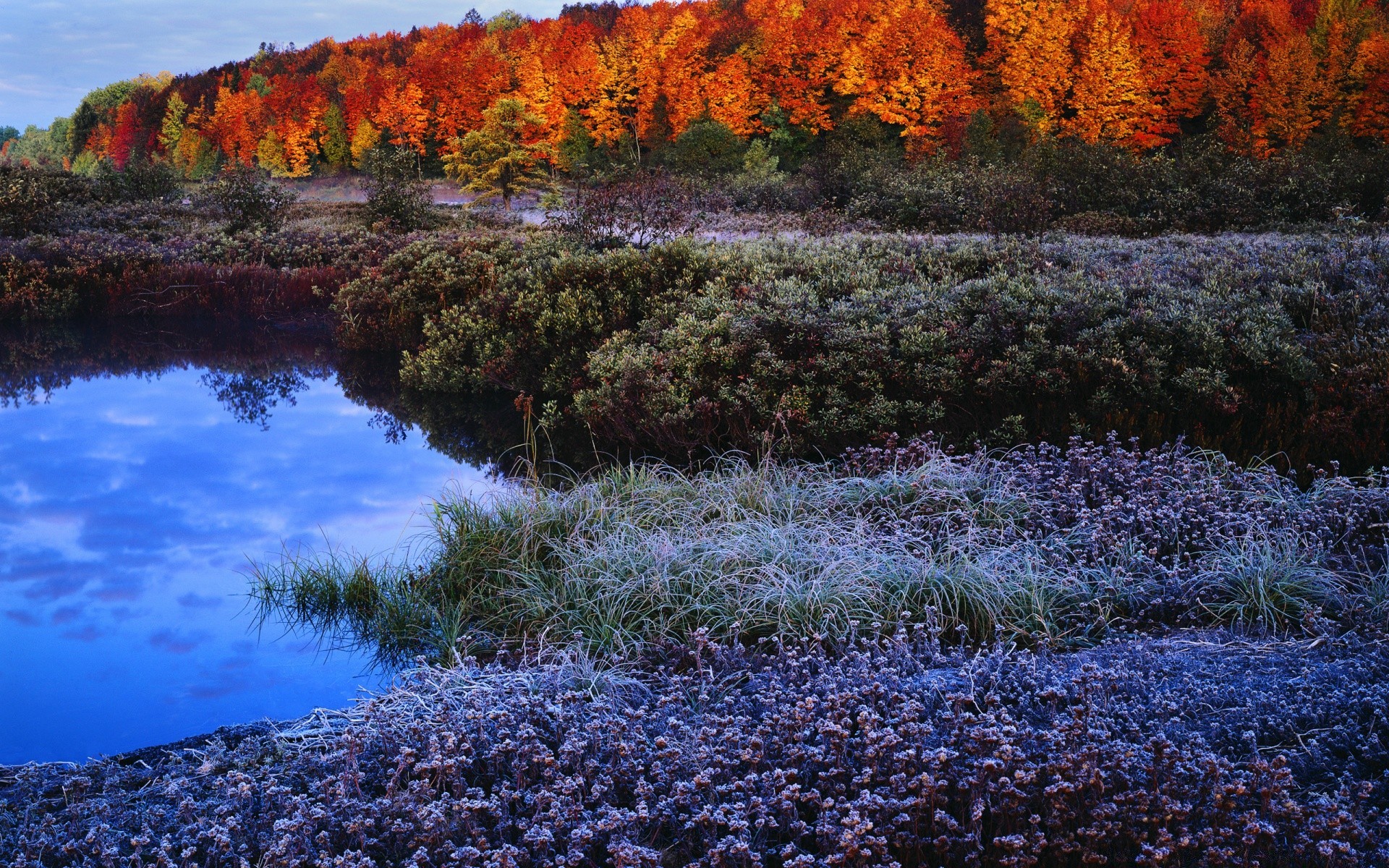 autumn fall landscape water scenic outdoors nature leaf tree color flower park scene river season