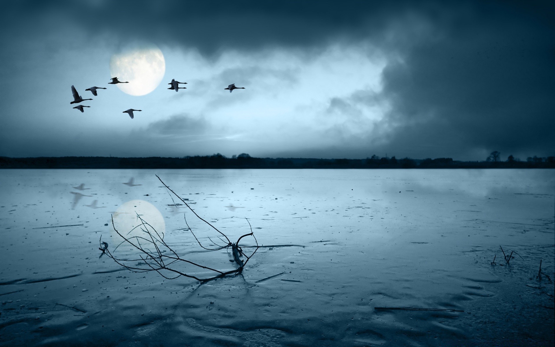 herbst see wasser reflexion landschaft dämmerung sonnenuntergang strand fluss silhouette himmel ozean meer abend natur vogel licht landschaft dämmerung