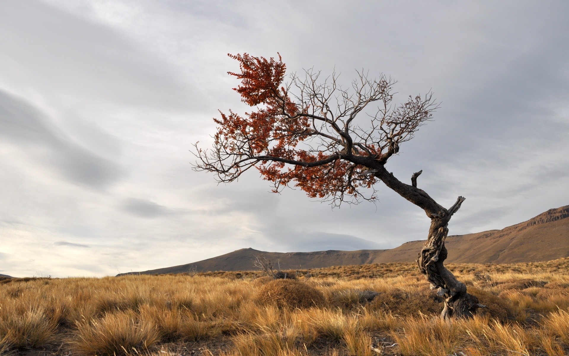 autumn landscape outdoors tree sky nature sunset fall daylight travel dawn grass