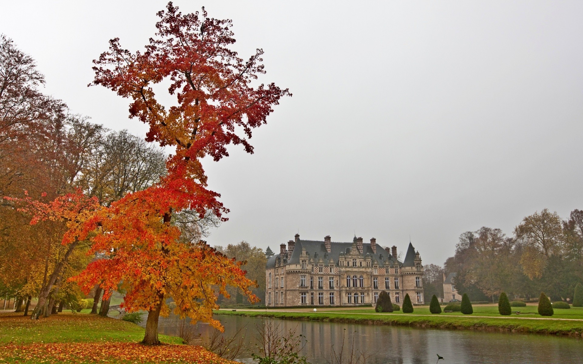 autumn fall tree outdoors park leaf landscape