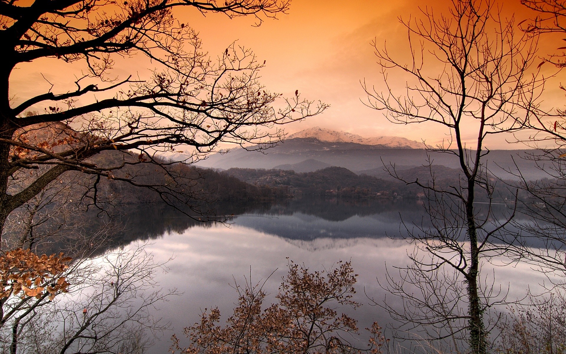 otoño amanecer árbol invierno nieve paisaje otoño naturaleza niebla madera frío puesta de sol niebla escarcha tiempo rama buen tiempo temporada sol