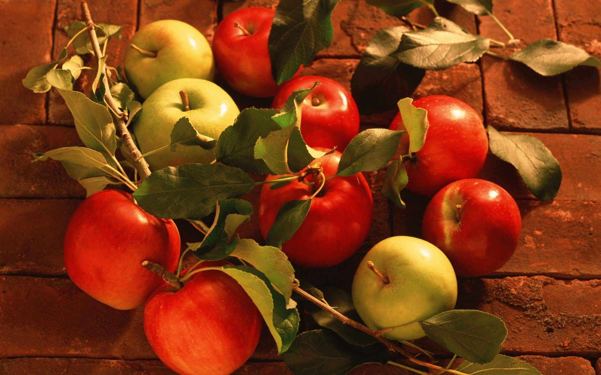 outono frutas comida maçã crescer suculento pasto folha delicioso comida outono pastelaria saudável saúde agricultura ainda vida mercado jardim vegetal