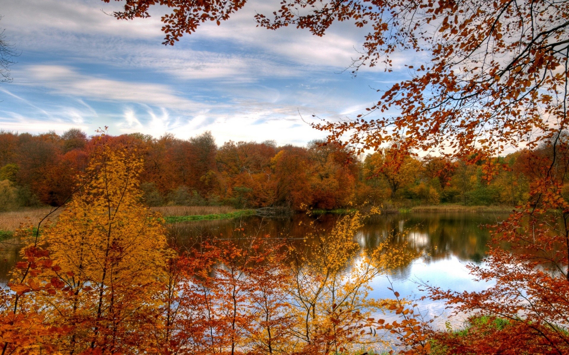 autumn fall tree landscape leaf season nature wood dawn scenic maple park outdoors scenery gold fair weather branch bright sun countryside