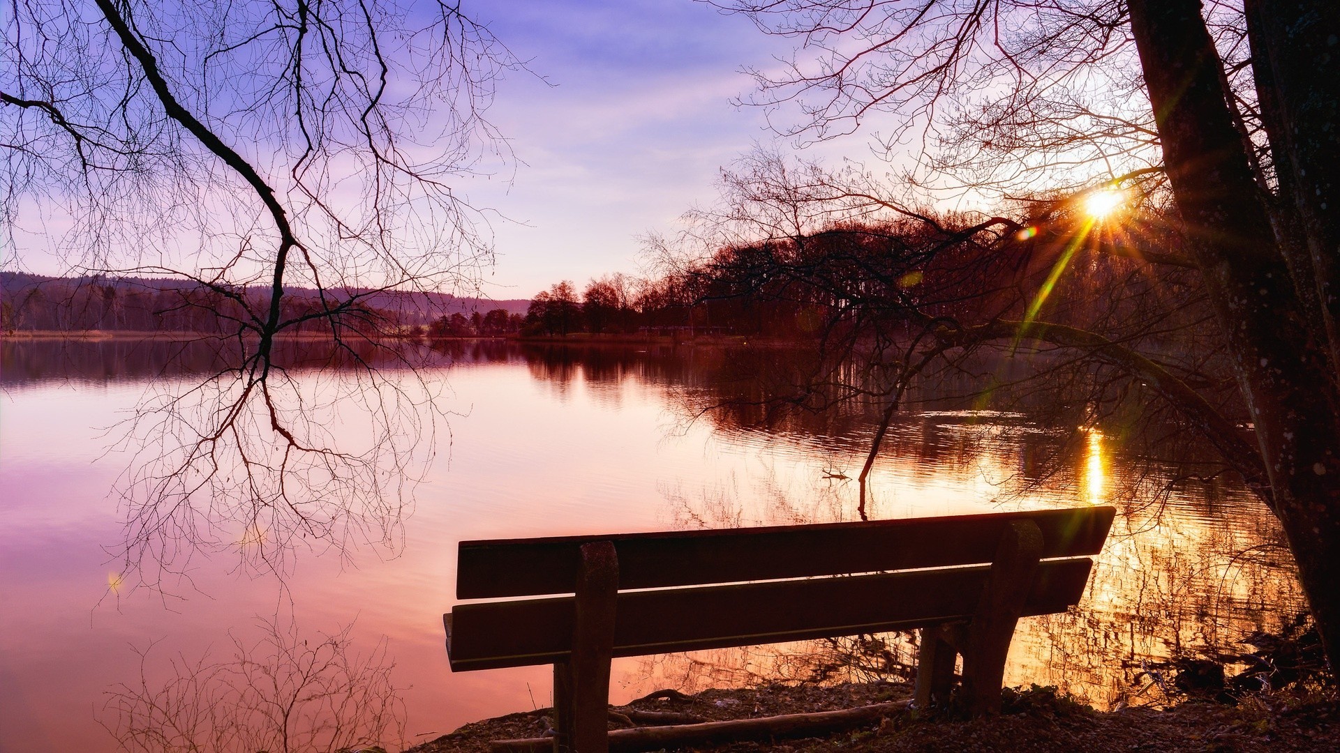 autunno alba albero lago paesaggio riflessione acqua tramonto panchina autunno legno fiume inverno luce sera natura sole parco nebbia tempo