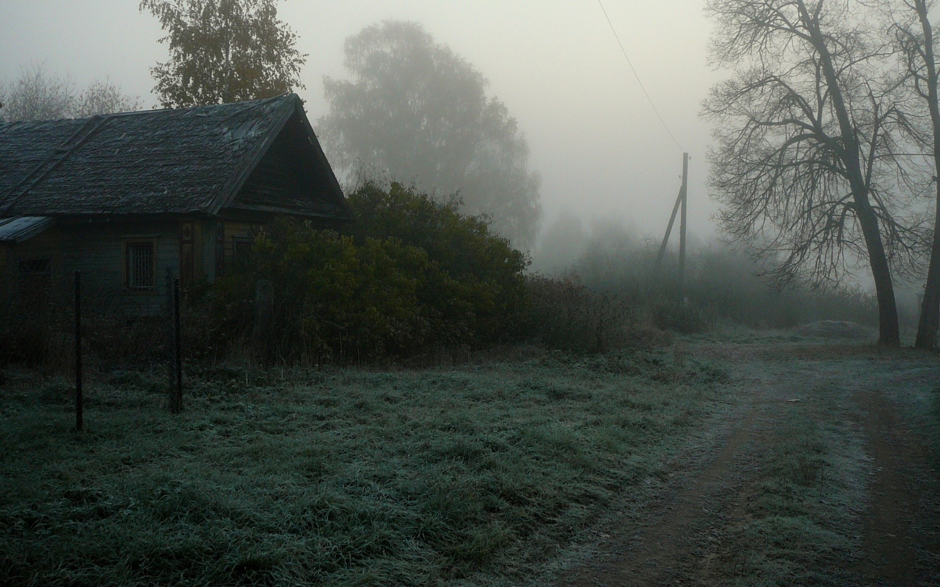 automne paysage brouillard arbre brouillard bois aube météo tempête lumière ferme maison lumière du jour environnement